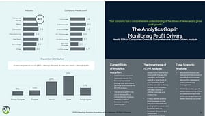 Analytics Gap in Monitoring Profit Drivers